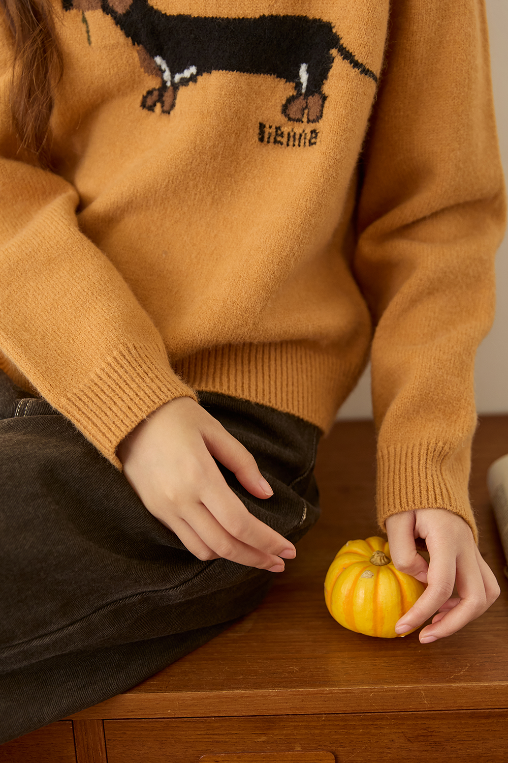 Knit Shirt for Women