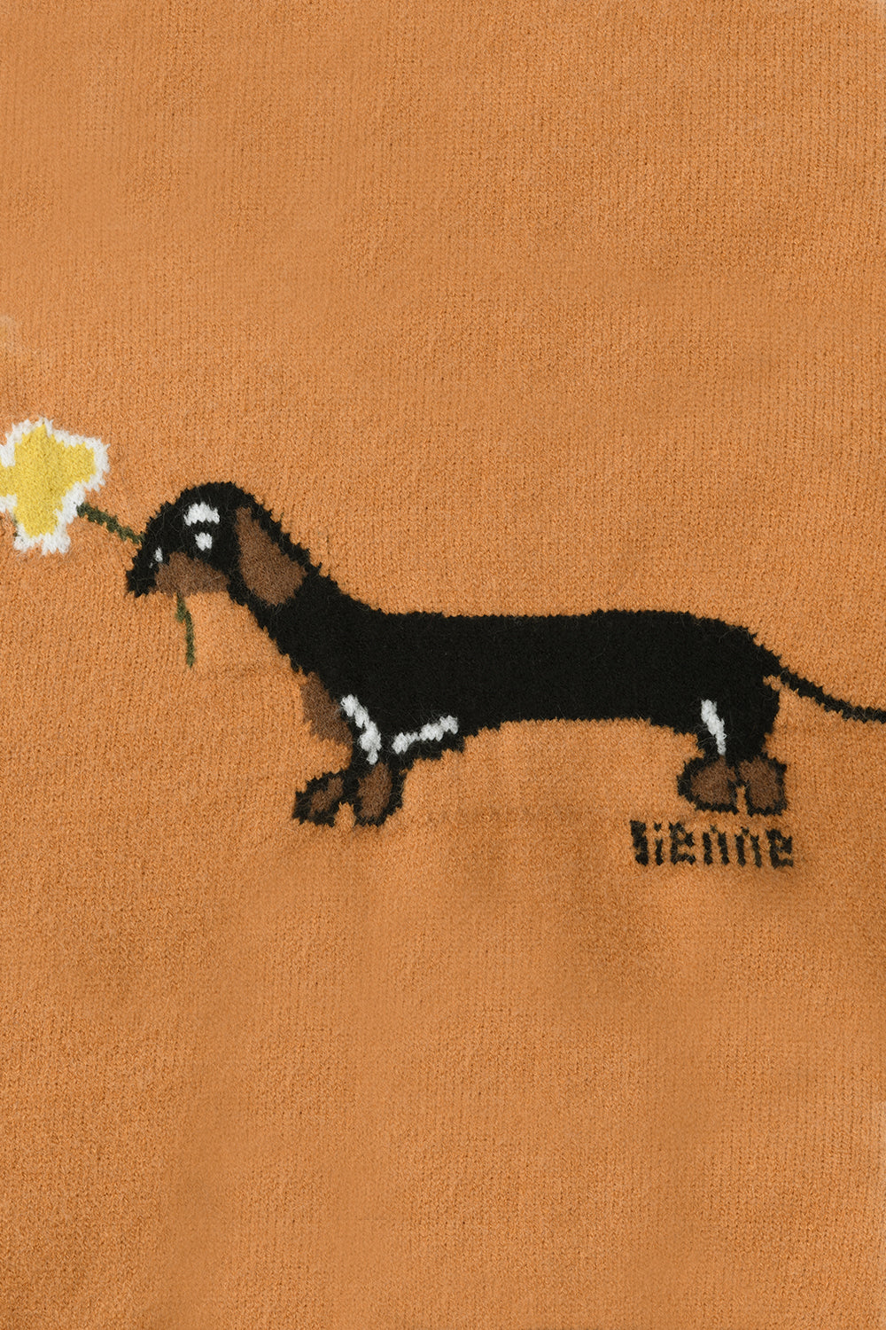 Knit Shirt for Women