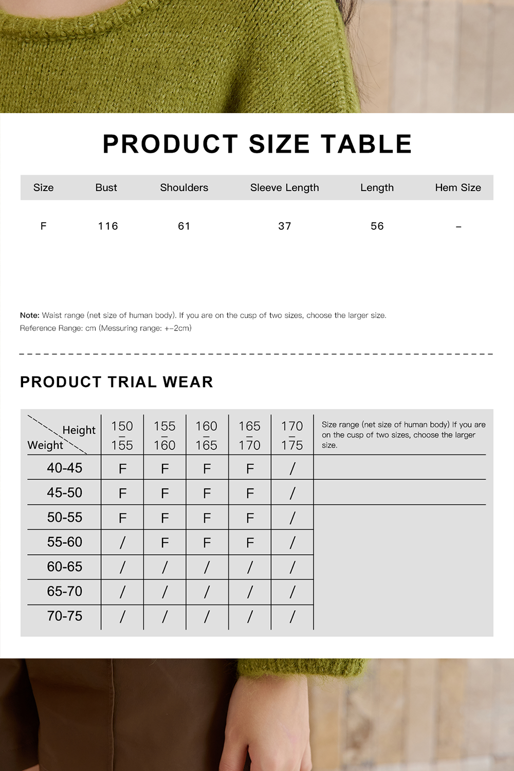 Knit Shirt for Women